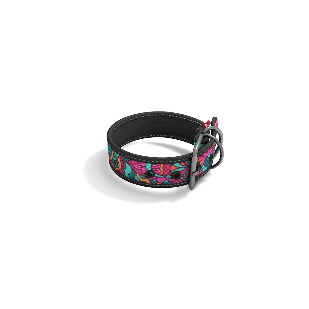 Collar Perro Collar Perro
